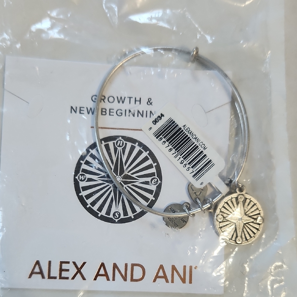 Alex And Ani Silver Compass Charm Bangle Bracelet - NWT